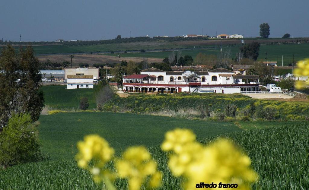 El Pilar Hotel La Carlota Bagian luar foto